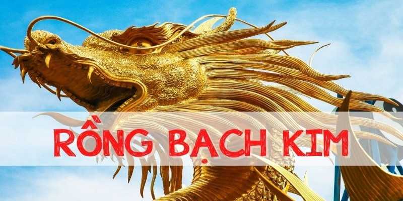 Mẹo soi cầu rồng bạch kim