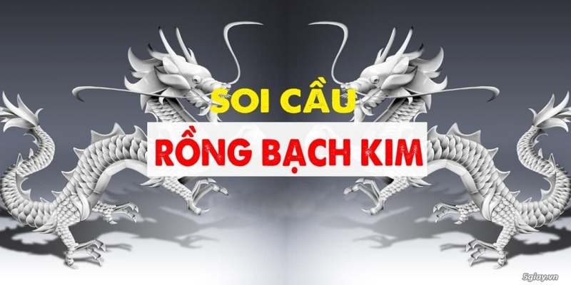 soi cầu rồng bạch kim miền trung